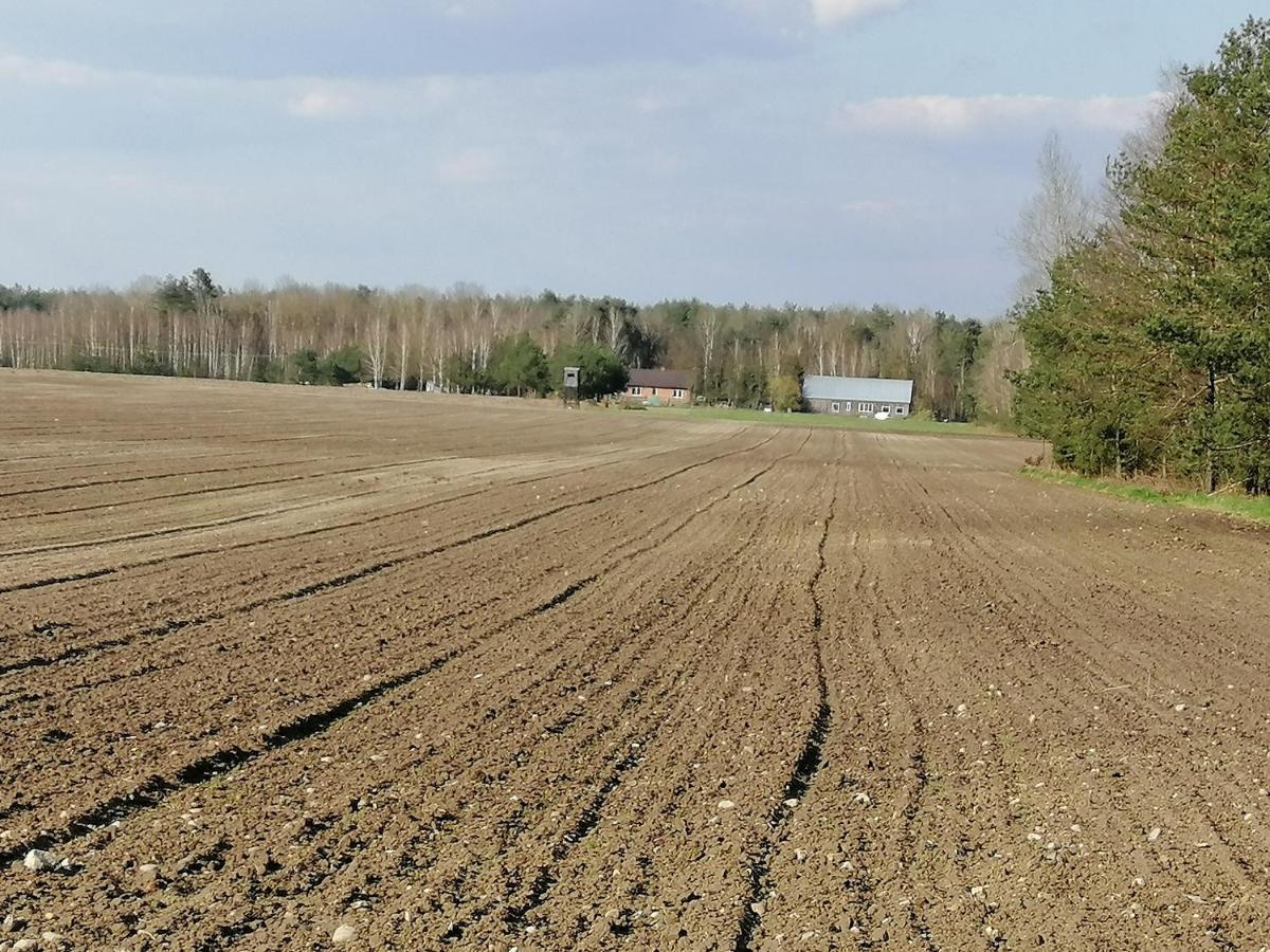 Agroturystyka Pod Dobrymi Skrzydlami Wiski 외부 사진