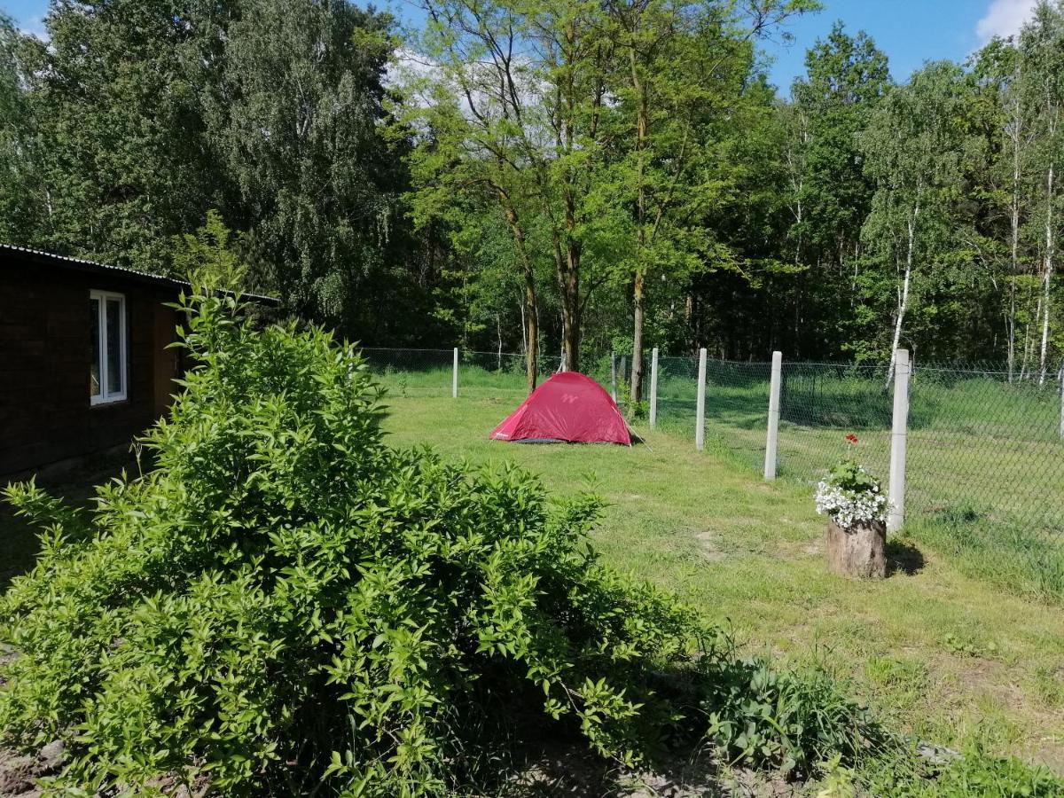 Agroturystyka Pod Dobrymi Skrzydlami Wiski 외부 사진