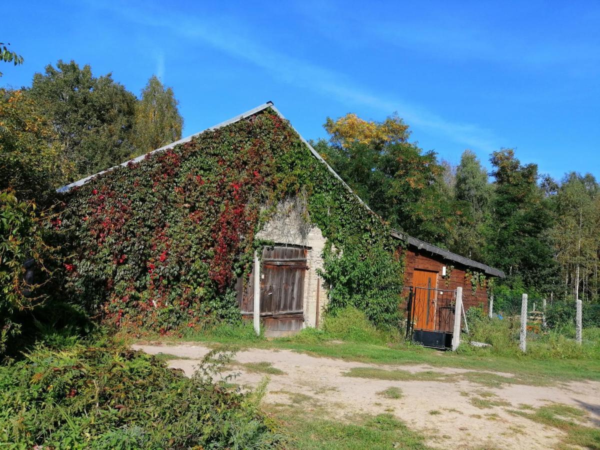 Agroturystyka Pod Dobrymi Skrzydlami Wiski 외부 사진
